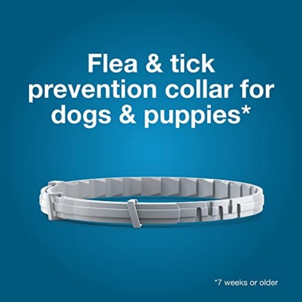 Seresto Large Dog Vet-Recommended Flea & Tick Treatment & Prevention Collar for Dogs Over 18 lbs. | 8 Months Protection - Image 7