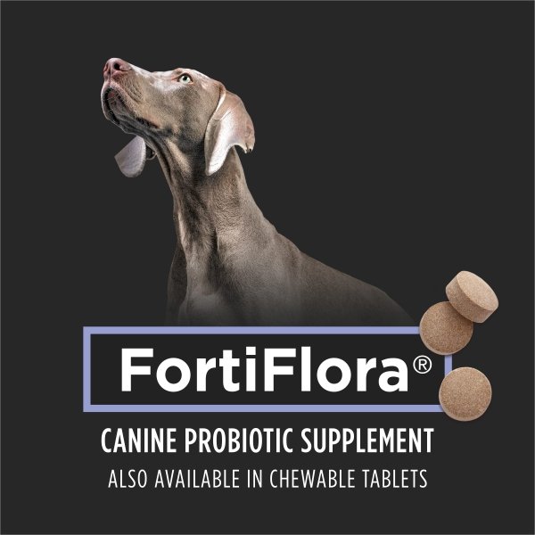 Purina Pro Plan Veterinary Supplements FortiFlora Dog Probiotic Supplement, Canine Nutritional Supplement - 30 Ct. Box - Image 7
