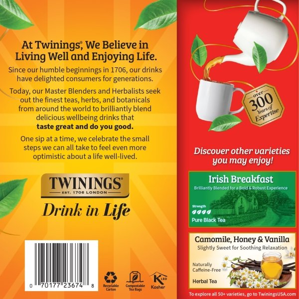 Twinings English Breakfast Black Tea Individually Wrapped Bags, 100 Count (Pack of 1), Smooth, Flavourful, and Robust, Caffeinated, Enjoy Hot or Iced | Packaging May Vary - Image 3
