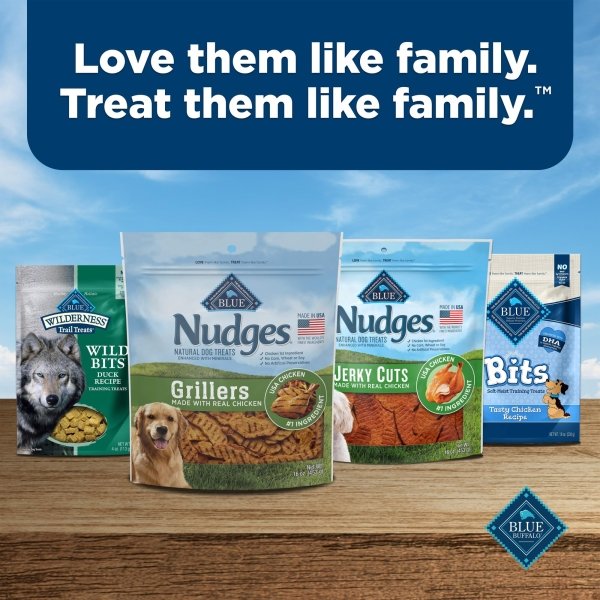 Blue Buffalo Nudges Grillers Natural Dog Treats, Made in the USA with Real Chicken, 16-oz Bag - Image 2