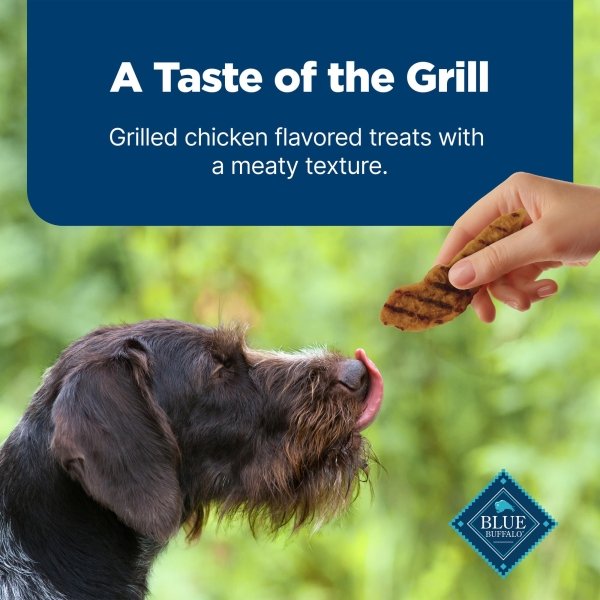 Blue Buffalo Nudges Grillers Natural Dog Treats, Made in the USA with Real Chicken, 16-oz Bag - Image 5
